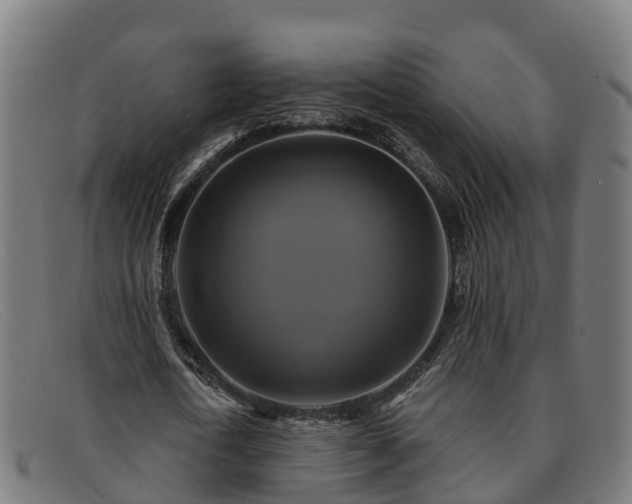 X0000091910722200709121516