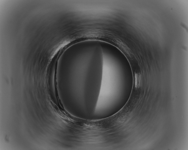 X0000091910723200709121516