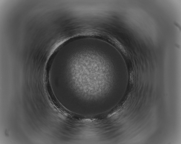 X0000091910724200709121516