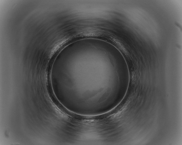 X0000091910725200709121516