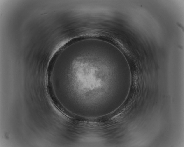 X0000091910726200709121516