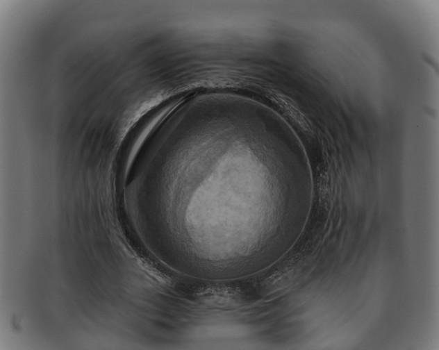 X0000091910727200709121516