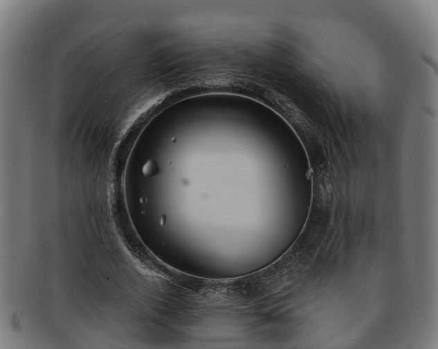 X0000091910728200709121516