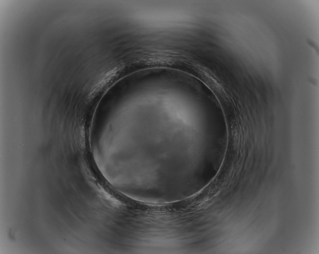 X0000091910729200709121516