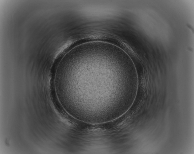 X0000091910730200709121517