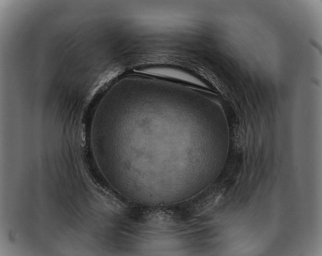 X0000091910731200709121517