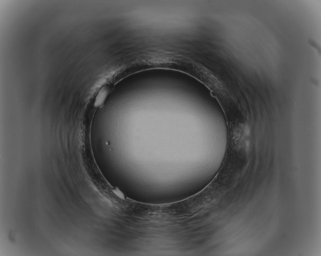 X0000091910732200709121517