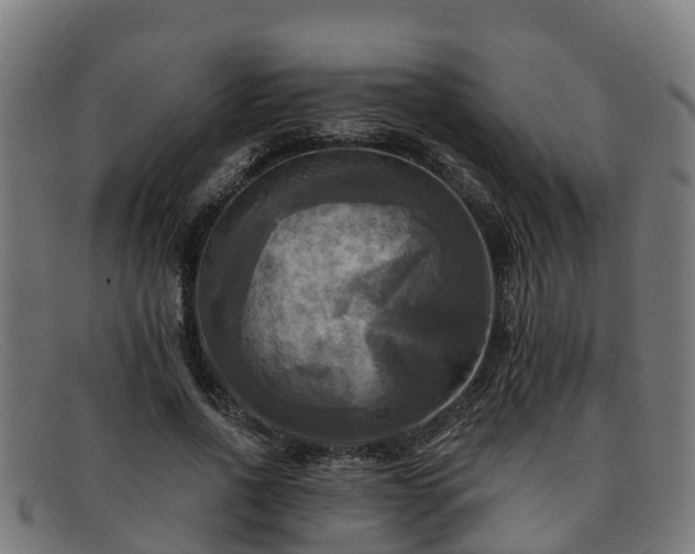 X0000091910734200709121517