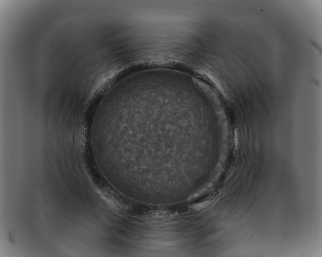 X0000091910736200709121517