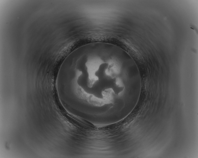 X0000091910737200709121517