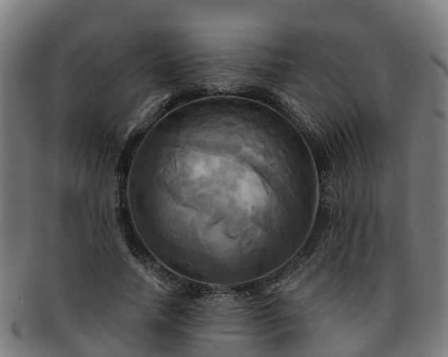 X0000091910738200709121517