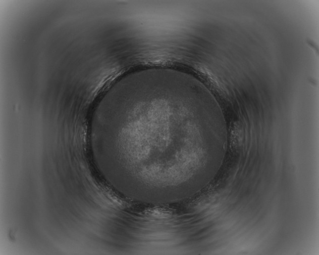 X0000091910739200709121517