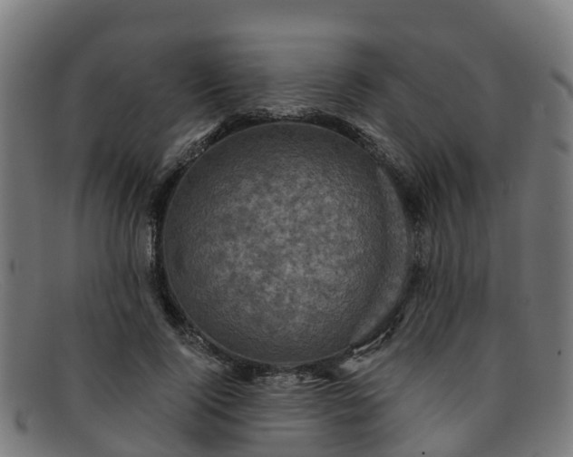 X0000091910740200709121517