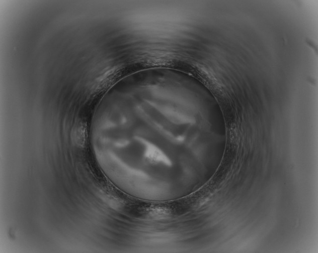 X0000091910741200709121517