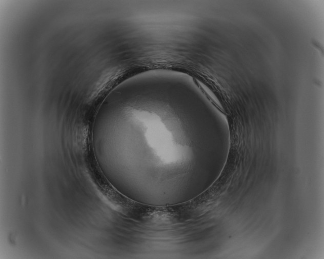 X0000091910742200709121517