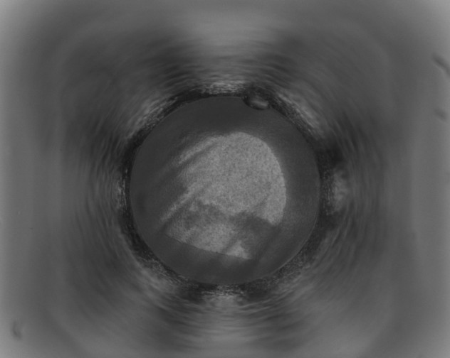 X0000091910743200709121517