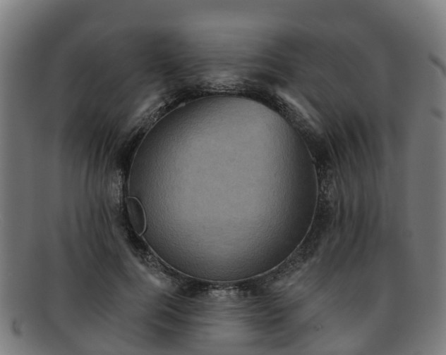 X0000091910744200709121517