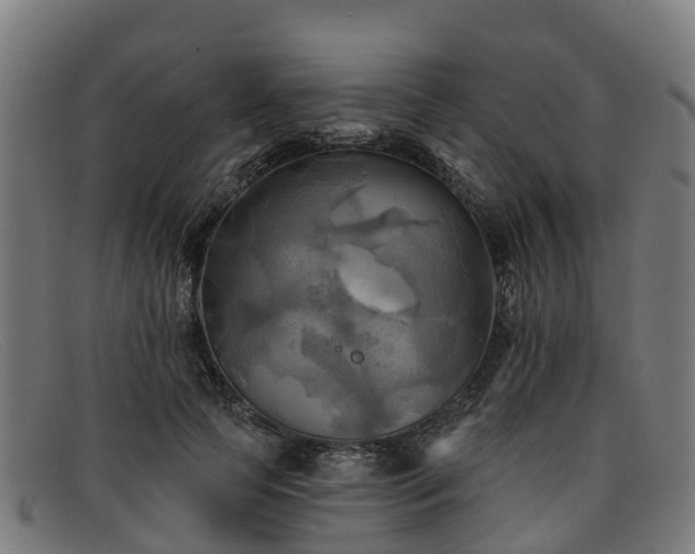 X0000091910745200709121517