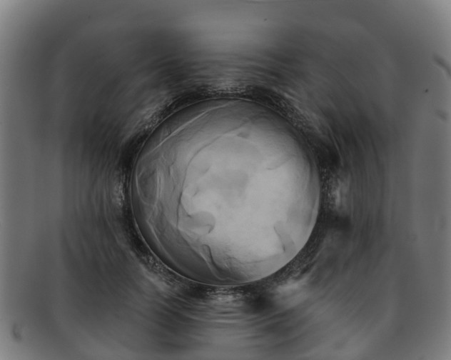 X0000091910746200709121517