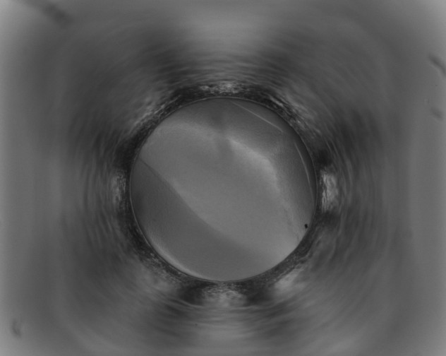 X0000091910747200709121517