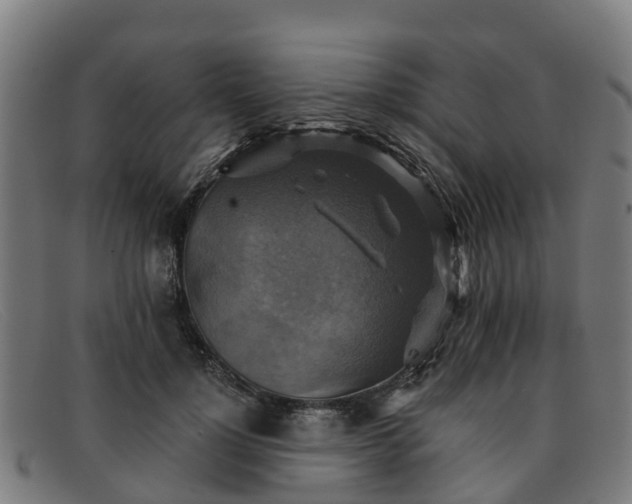 X0000091910748200709121517