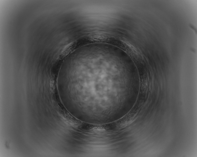 X0000091910749200709121517