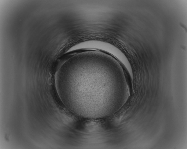 X0000091910750200709121517