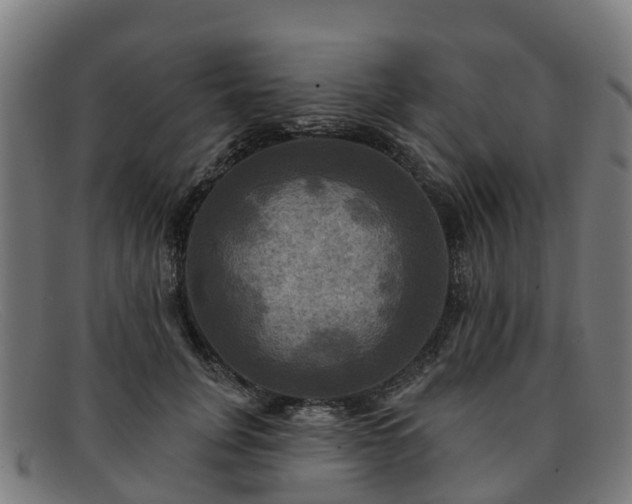 X0000091910751200709121517