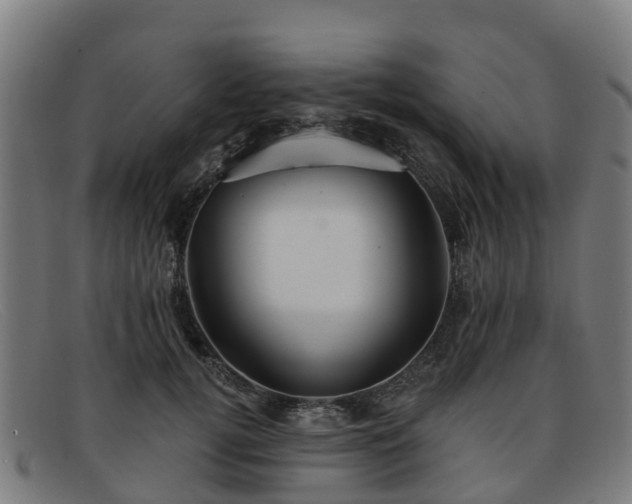 X0000091910752200709121517