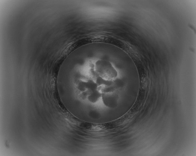 X0000091910753200709121517