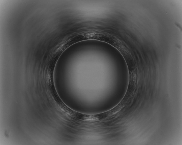 X0000091910754200709121517