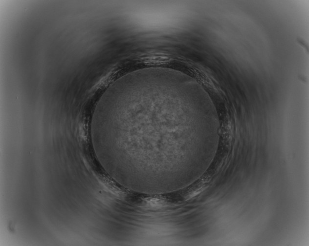 X0000091910755200709121517