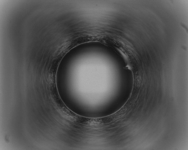 X0000091910756200709121517