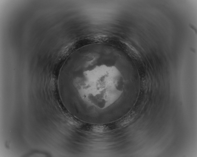 X0000091910757200709121517