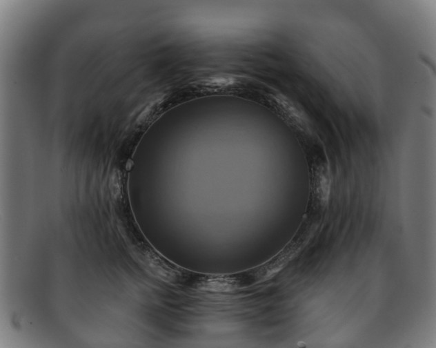 X0000091910758200709121517