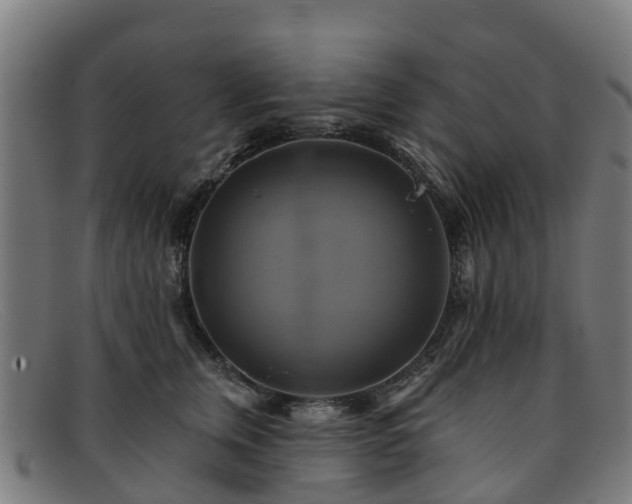 X0000091910759200709121517