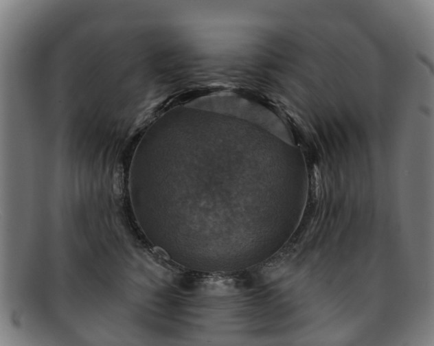 X0000091910760200709121517