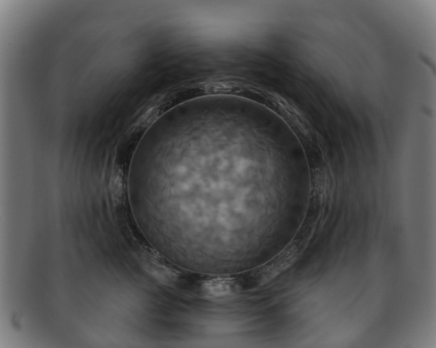 X0000091910761200709121517