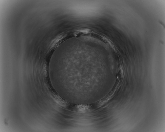 X0000091910762200709121517