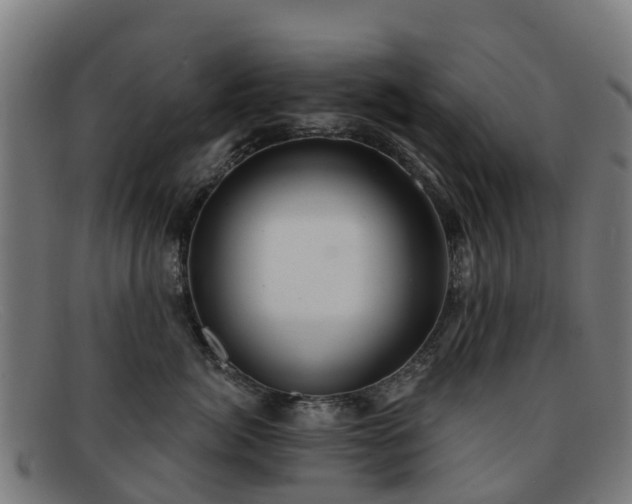 X0000091910764200709121517