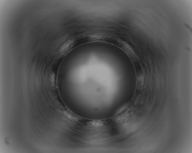 X0000091910765200709121517