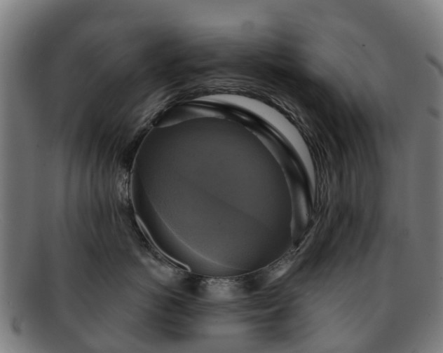 X0000091910766200709121517