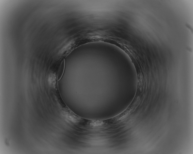 X0000091910767200709121517