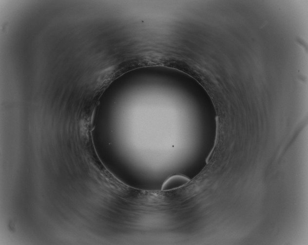 X0000091910768200709121517