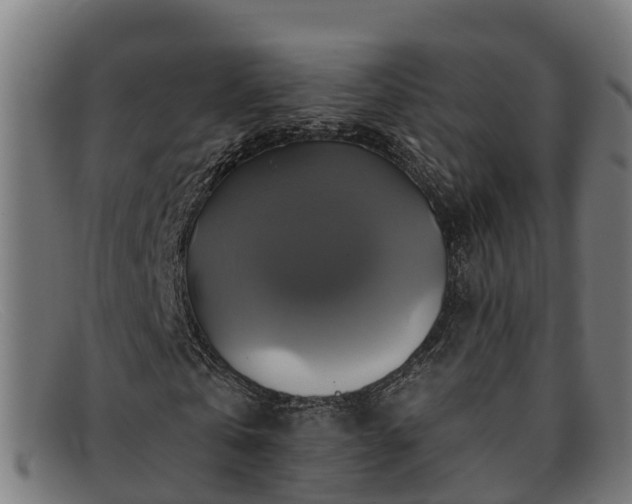 X0000091910769200709121516