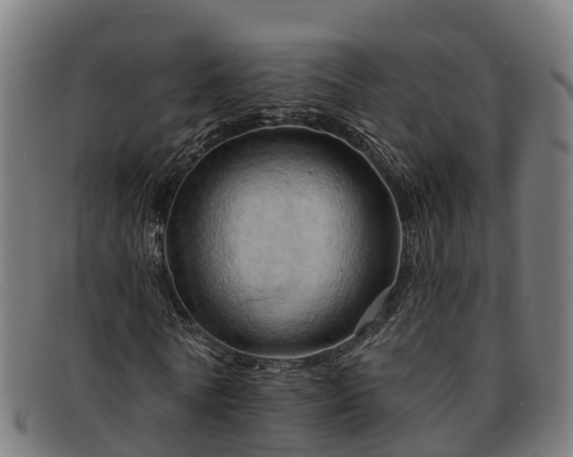 X0000091910770200709121516