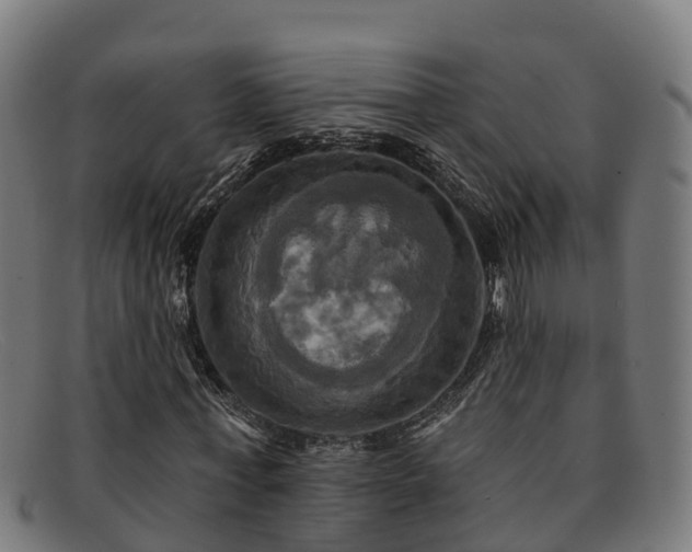 X0000091910771200709121516