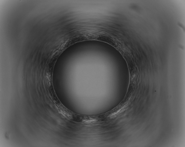 X0000091910772200709121516