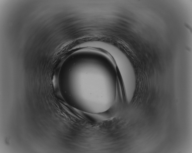 X0000091910773200709121516