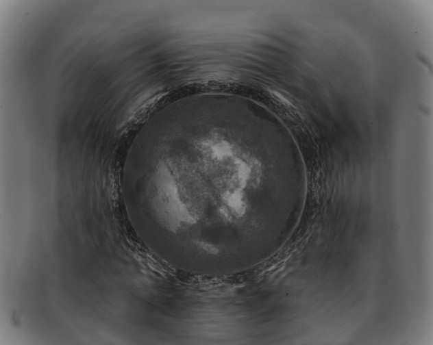 X0000091910774200709121516